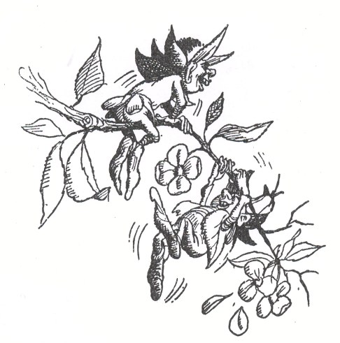 SOP46-Tegnerbrødrene 15