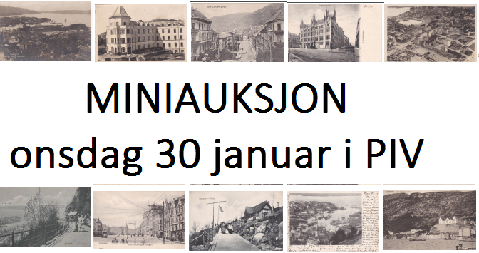 Miniauksjon 30.01.19